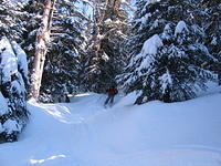 ADK_03-29-08_Don_marcy_ski_trail_a1