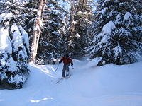 ADK_03-29-08_Don_marcy_ski_trail_a2